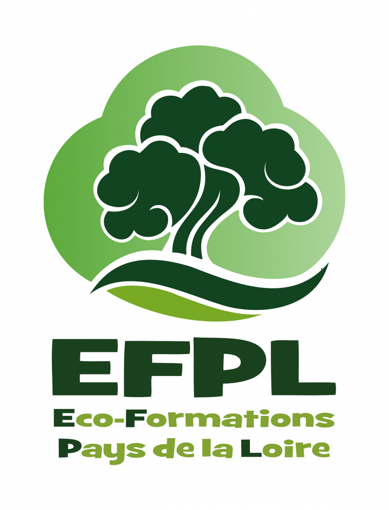 Logo EFPL