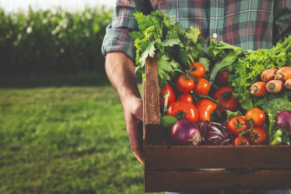 Le jardin de Cocagne : lutter contre l&rsquo;isolement par l’emploi et l&rsquo;aide alimentaire