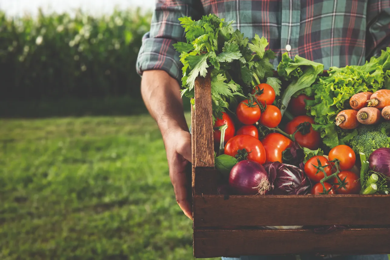 Le jardin de Cocagne : lutter contre l&rsquo;isolement par l’emploi et l&rsquo;aide alimentaire
